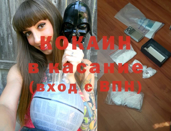стаф Инта