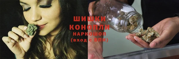 гидра Инсар