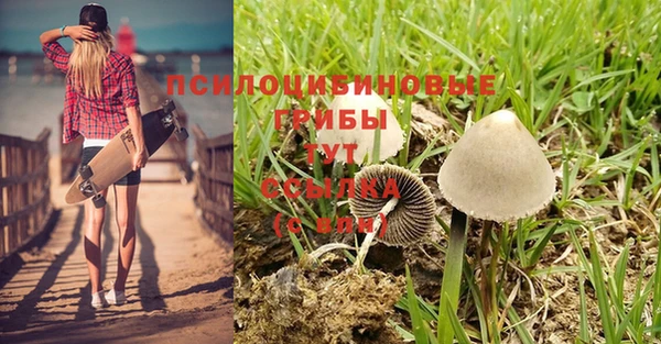 мяу мяу мука Заводоуковск