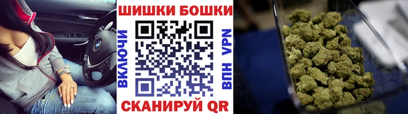 Бошки марихуана семена  Томмот 